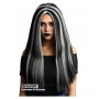 WITCH WIG 22"L - BLACK WITH SILVER STREAK