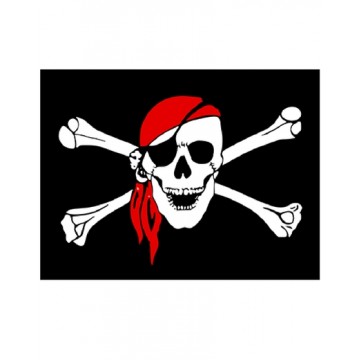 Pirate Flag with Skull and red cap