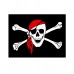 Pirate Flag with Skull and red cap