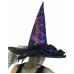 Witch Purple Hat