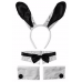 White Bunny Accessories kit