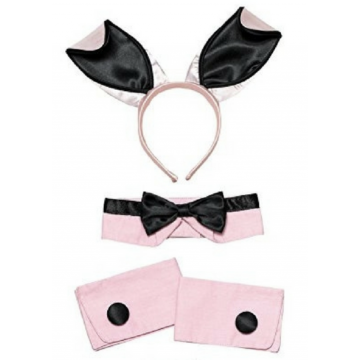 Pink Bunny Accessories kit