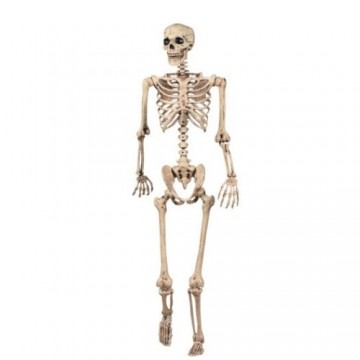 3ft Lifesize Hanging Skeleton