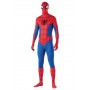 Spiderman Hero