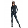 Dark Knight Catwoman