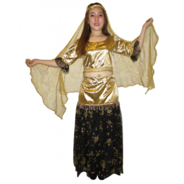 Gold Glitter Harem Dancer