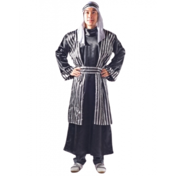 Black/Silver striped arabian