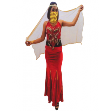 Red Zig Zag Belly Dancer