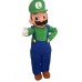 Super Mario Luigi Mascot