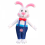 Inflatable Rabbit
