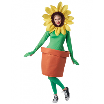 Potted Flower