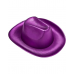 Shinny Solid Cowboy - Purple