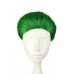 Joker Wig