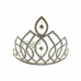 Crystal Glass Crown-2