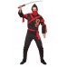 Dragon Ninja Warrior