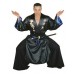 Samurai Blue Warrior