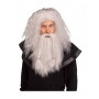 Viking Wig & Beard