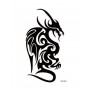 Dragon Tattoo