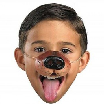 Dog Nose