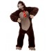 Brown Monkey
