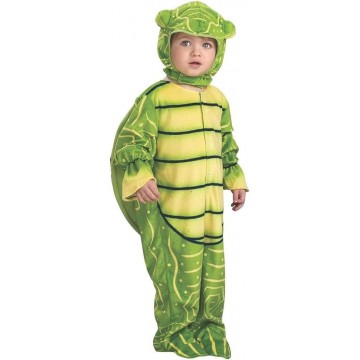 Turtle Kids