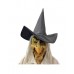 Witch W Hair And Hat