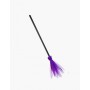 Witch Broom - Purple