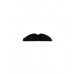 Smarty Moustache