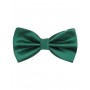 Men's Formal Bow tie - Green