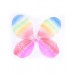 Fairy Rainbow Butterfly Wings