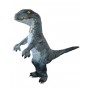 Inflatable Raptor