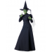 Wicked Witch - Wizard of Oz