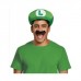 Luigi Hat