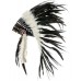 Native American Indian Feather Headdress