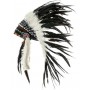 Native American Indian Feather Headdress