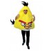 Yellow Angry Bird