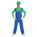 Adult Luigi