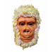 Golden Monkey Mask