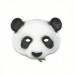 Half Face Panda