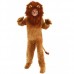 Child Lion King
