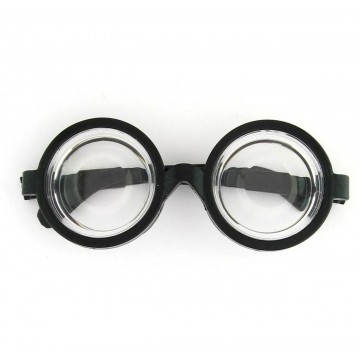 Harry Potter Glasses