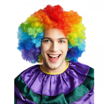 Jumbo rainbow wig