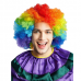 Jumbo rainbow wig