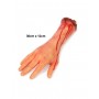 Bloody Hand