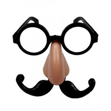 Funny/Nerd Glasses