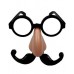 Funny/Nerd Glasses