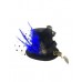 Mini Hat - Anchor